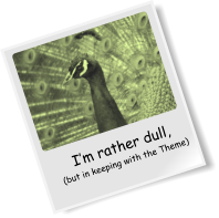 I’m rather dull, (but in keeping with the Theme)